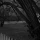 Untitled #21 (Farmhouse and Picket Fence II)